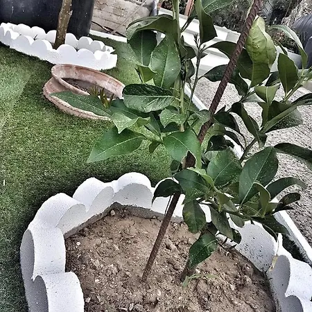 Appartement Casa Blu