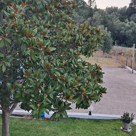 Casa Blu Appartement Nikiana